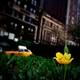 Illustration for article titled 264 Stupendous Spring Wallpapers